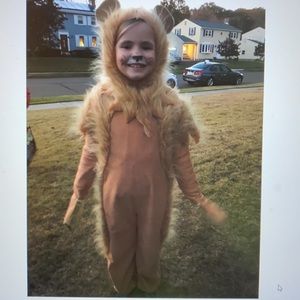Lion costume